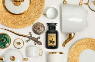 唐物茶入魚玄機(jī) 用茶道視角解析產(chǎn)品與品牌文化的網(wǎng)絡(luò)技術(shù)融合